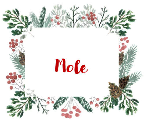 Mole / Rabbit
